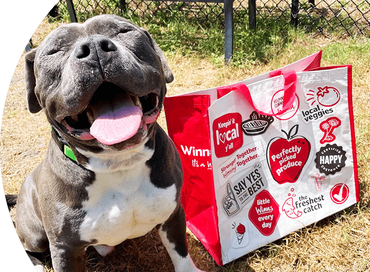 Southeastern Grocers partners with nearly 400 local animal welfare