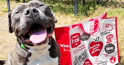 Southeastern Grocers partners with nearly 400 local animal welfare