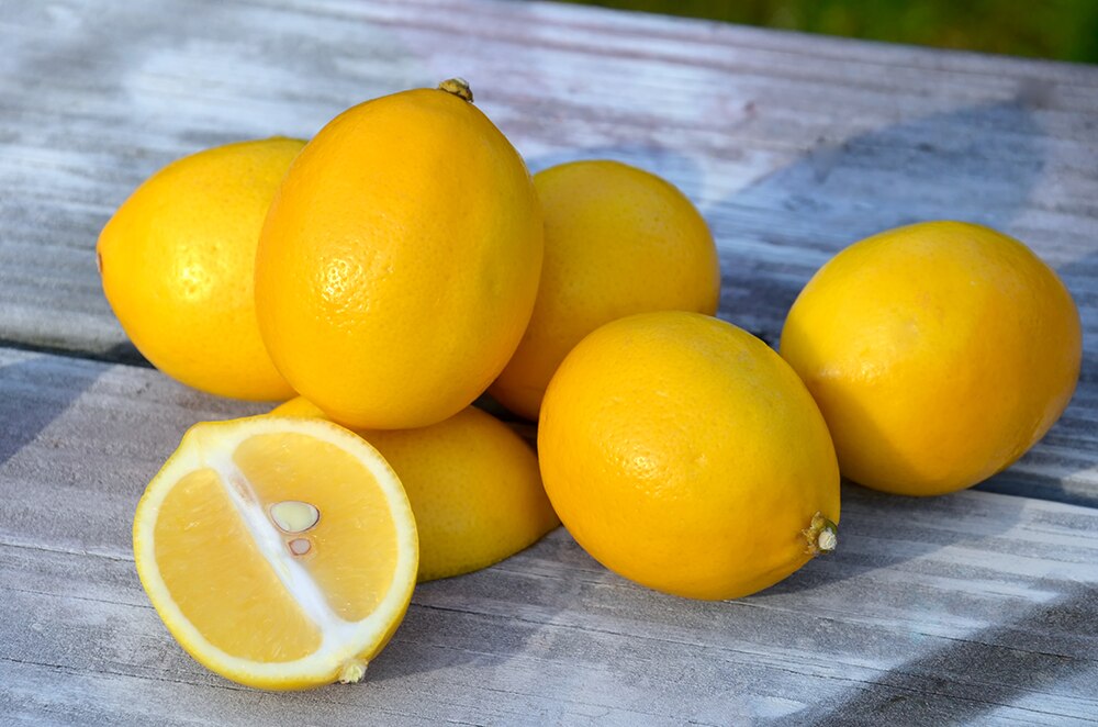 meyer lemons