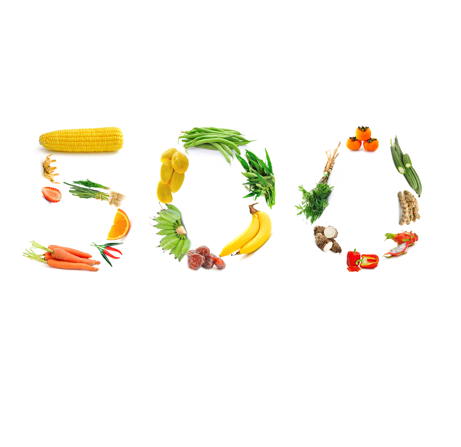Error 500 – Page not found